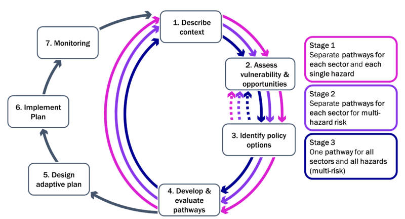 File:DAPP-MR.png